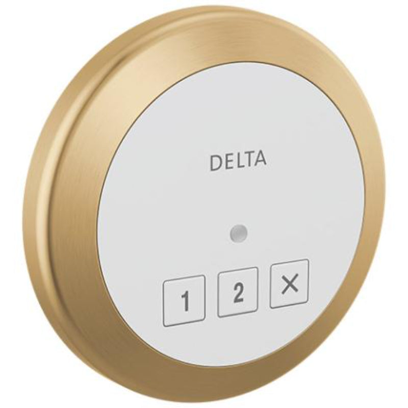 Delta Steamscape™ Round Control Round Exterior Steam Control