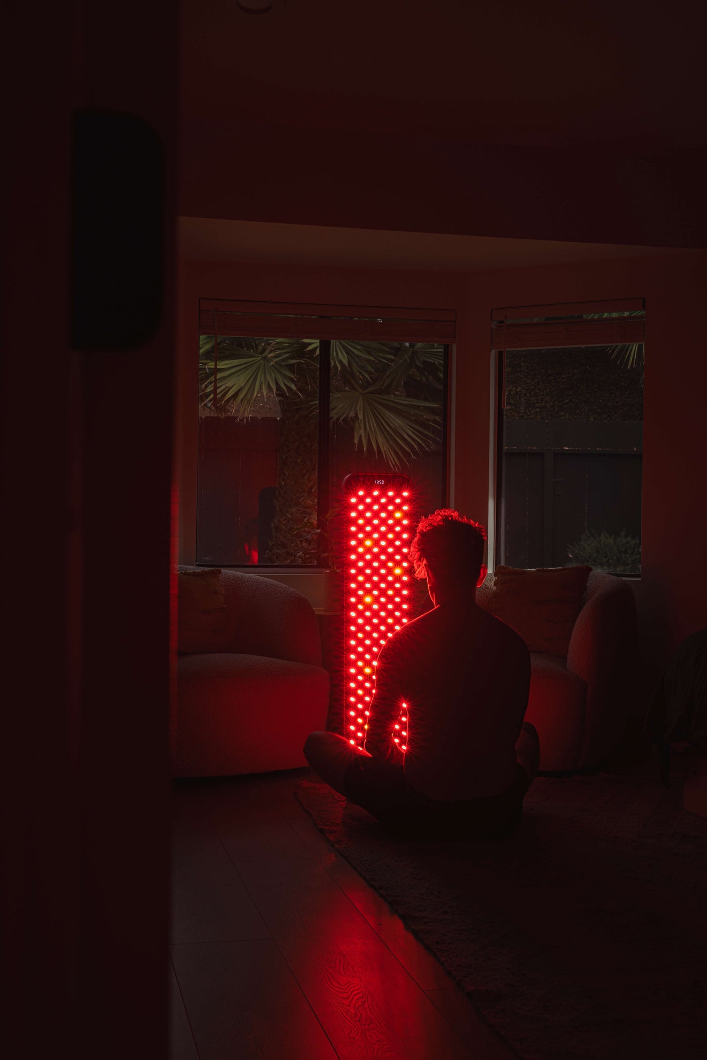 Large Panel — Red &amp; Near-Infrared Light Therapy Panel
